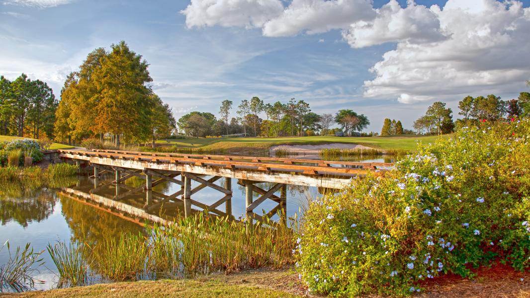 NARS 2023 Golf Tournament Shingle Creek Club